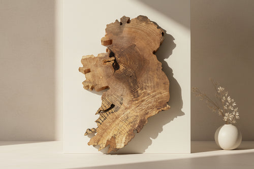 Island of Ireland wooden log with a rough, natural texture on a light-colored surface